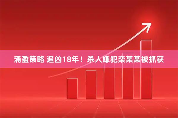 涌盈策略 追凶18年!杀人嫌犯栾某某被抓获