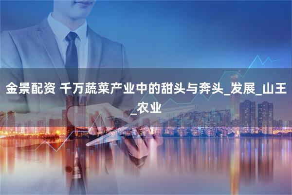 金景配资 千万蔬菜产业中的甜头与奔头_发展_山王_农业