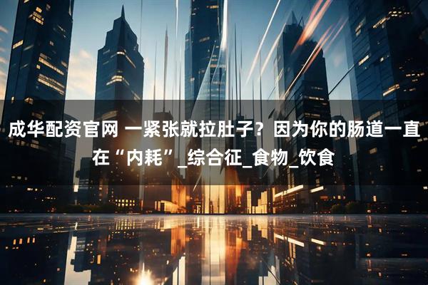 成华配资官网 一紧张就拉肚子?因为你的肠道一直在“内耗”_综合征_食物_饮食